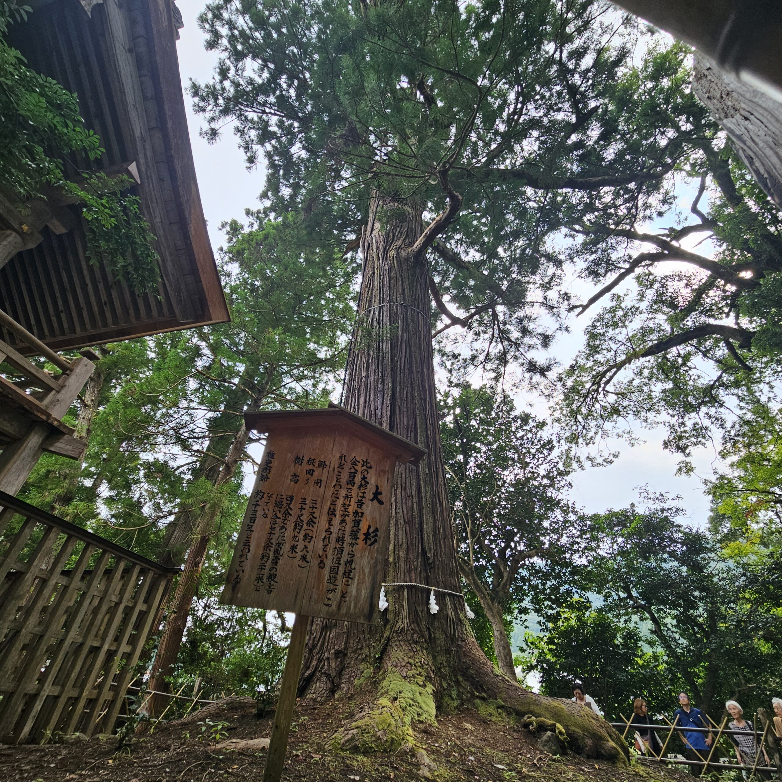 須佐神社